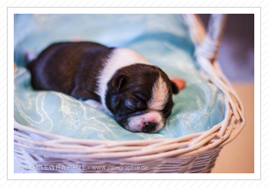 Fotoshooting mit Joliegraphie Fotoshooting mit Joliegraphie