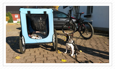 Wochenendausflug nach Cunewalde (Sachsen) am 31.10.2015 Wochenendausflug nach Cunewalde (Sachsen) am 31.10.2015