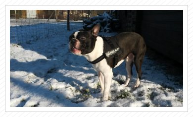 Der erste Schnee für den jungen Mann