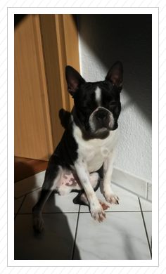 Und danach wieder Sonnenbaden Und danach wieder Sonnenbaden