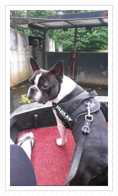 im Spreewald im Spreewald