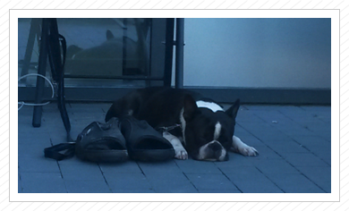 Sommerurlaub Sommerurlaub
