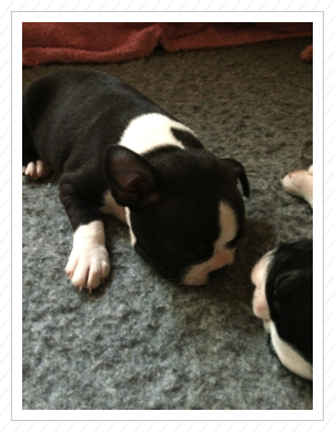 14.06.2015 - 2019 g schwer 14.06.2015 - 2019 g schwer