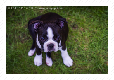 ... Fotoshooting mit .... ... Fotoshooting mit ....