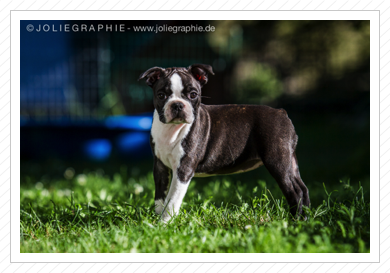 Danke für die tollen Fotos! Danke für die tollen Fotos!