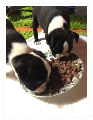 Costello und Carla Costello und Carla