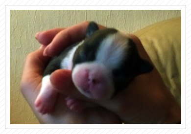 Noch sind die Augen zu - 09.05.2015 Noch sind die Augen zu - 09.05.2015