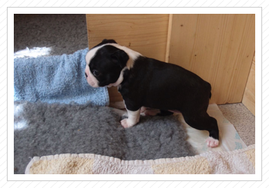 1349 g schwer 1349 g schwer