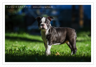 Fotoshooting Fotoshooting