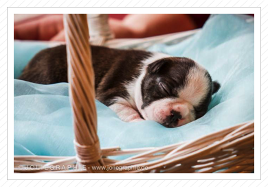 Fotoshooting mit Joliegraphie :) Fotoshooting mit Joliegraphie :)