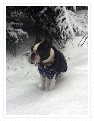 Schneeeeeeeeeeee Schneeeeeeeeeeee