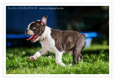Vielen Dank für die tollen Fotos! Vielen Dank für die tollen Fotos!