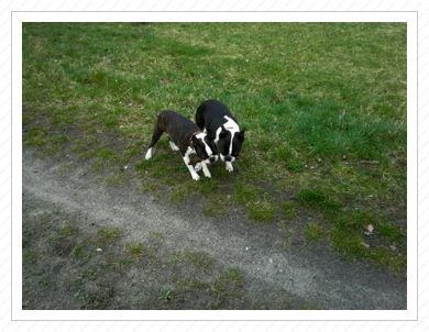 Zu Besuch bei uns - April 2016