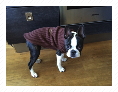 Tonio im Herbstlook Tonio im Herbstlook