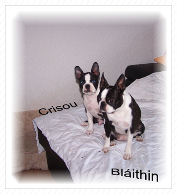 Crisou mit Blaithin Crisou mit Blaithin