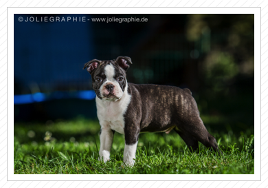 Vielen Dank für die tollen Fotos! Vielen Dank für die tollen Fotos!