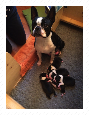 stolze Mama Anni - 09.05.2015 stolze Mama Anni - 09.05.2015