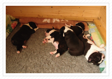 ... und kuscheln ... und kuscheln