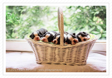 erstes Fotoshooting erstes Fotoshooting