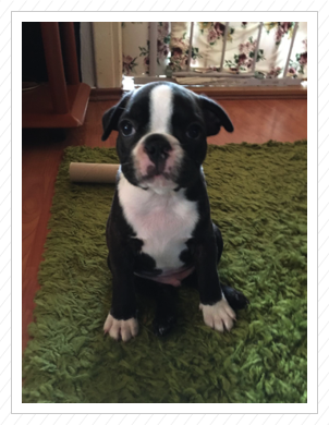 toll entwickelt der kleine Fratz :) - 21.08.2016 toll entwickelt der kleine Fratz :) - 21.08.2016