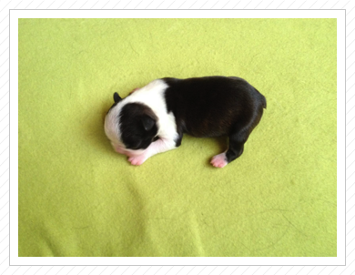 Darina am 03.07.2016 Darina am 03.07.2016