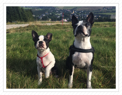 Oberwiesenthal im Oktober 2016 Oberwiesenthal im Oktober 2016