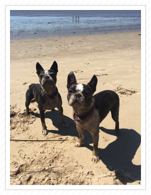 Nochmal Ostsee - Juni 2017