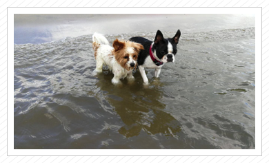 baden in der Ostsee baden in der Ostsee