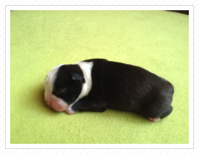 Deliah am 03.07.2016 Deliah am 03.07.2016