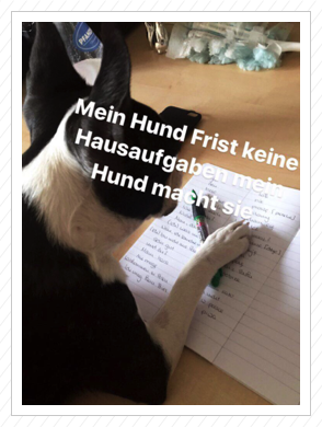 Streberin - 13.06.2017 Streberin - 13.06.2017