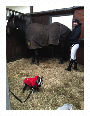 fleißig mit Frauchen auf dem Reiterhof fleißig mit Frauchen auf dem Reiterhof