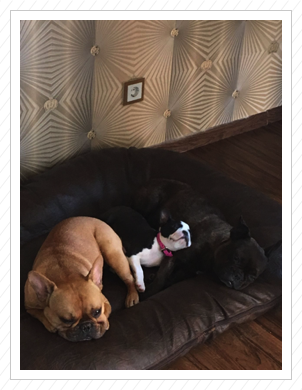 Deliah with Friends - 14.09.2016 Deliah with Friends - 14.09.2016
