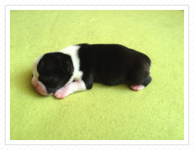 Diego am 03.07.2016 Diego am 03.07.2016