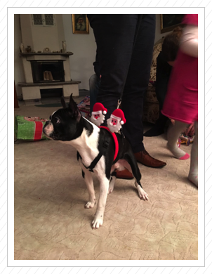 Weihnachtsfest 2016 :) Weihnachtsfest 2016 :)