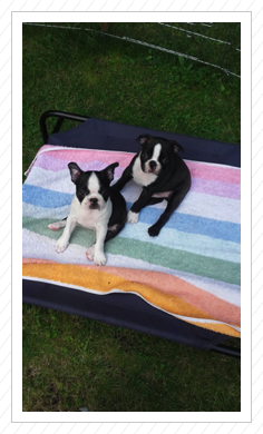 Darina & Daimon - 25.08.2016 Darina & Daimon - 25.08.2016