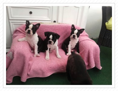 Darina, Daimon & Deliah Darina, Daimon & Deliah