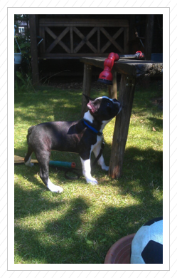 Eddy hat sich toll entwickelt und ... Eddy hat sich toll entwickelt und ...