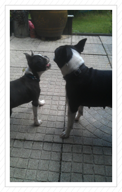 auch auch mal wieder mit Mama Anni spielen auch auch mal wieder mit Mama Anni spielen